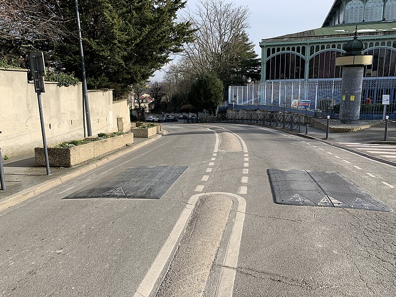 File:Avenue Victor Hugo - Nogent-sur-Marne (FR94) - 2021-02-14 - 3.jpg