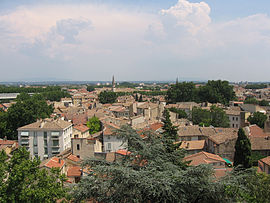 Avignon view.jpg