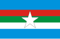 Bandeira de Timbiras