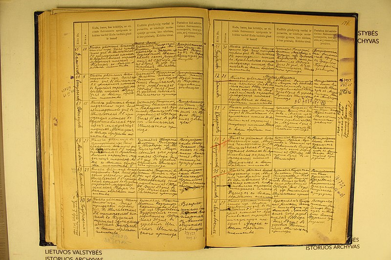 File:Batakių dekanato bažnyčių 1918 m. krikšto metrikų nuorašai 143.jpg
