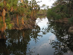 Bayou Luisiana