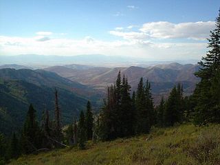 <span class="mw-page-title-main">Bear 100 Mile Endurance Run</span> Ultramarathon held in Utah and Idaho