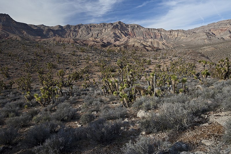 File:Beaver Dam Mountains Wilderness (9413562080).jpg