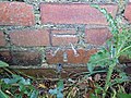 wikimedia_commons=File:Benchmark, Wall, 195 Cooden Sea Road, Bexhill.jpg