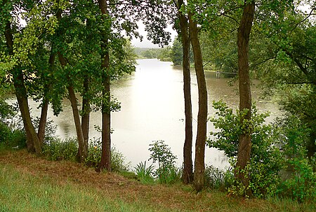 Bierder See