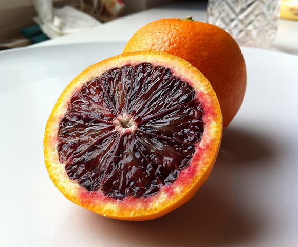 blood oranges in spanish