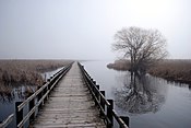 Promenade in Pelee.JPG