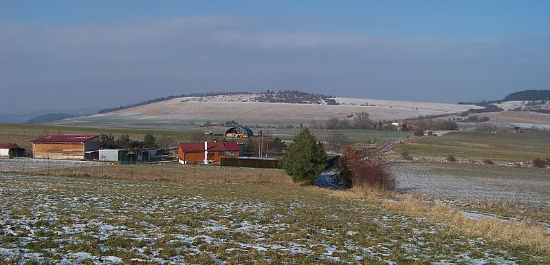 File:Borek, zahradnictví u cesty Želkovice - Málkov.jpg