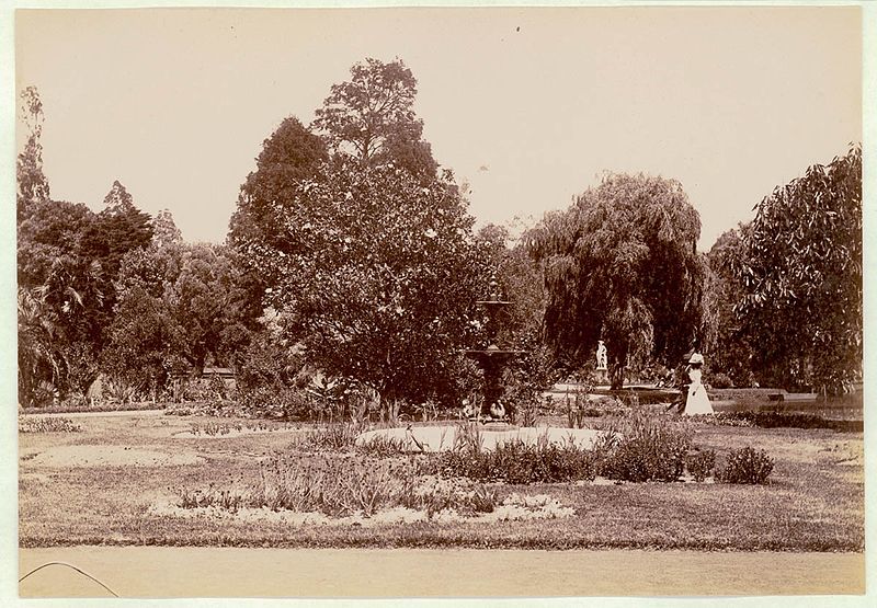 File:Botanical Gardens, Sydney, c. 1900-1910 (13707946153).jpg