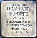 Braunschweig Georg-Eckert-Straße Stolperstein Chaim-Harry Jelinowitz