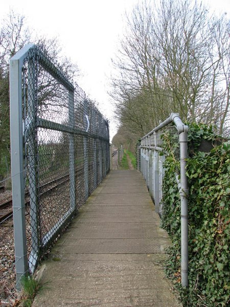 File:Bridge on the Bure Valley Railway Walk - geograph.org.uk - 1236390.jpg