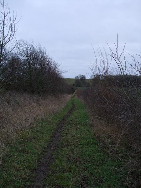 File:Bridlepath leading to Windmill Hill - geograph.org.uk - 2766735.jpg