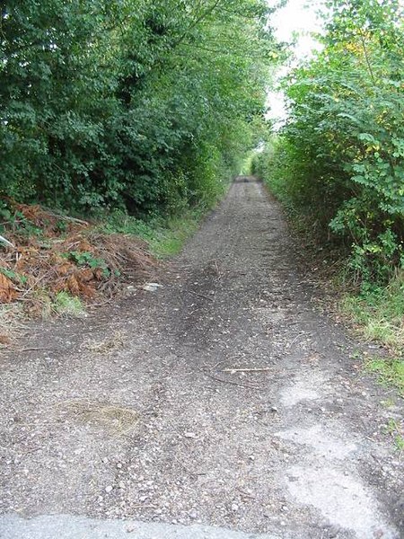 File:Bridleway from Pickelden Lane - geograph.org.uk - 571531.jpg