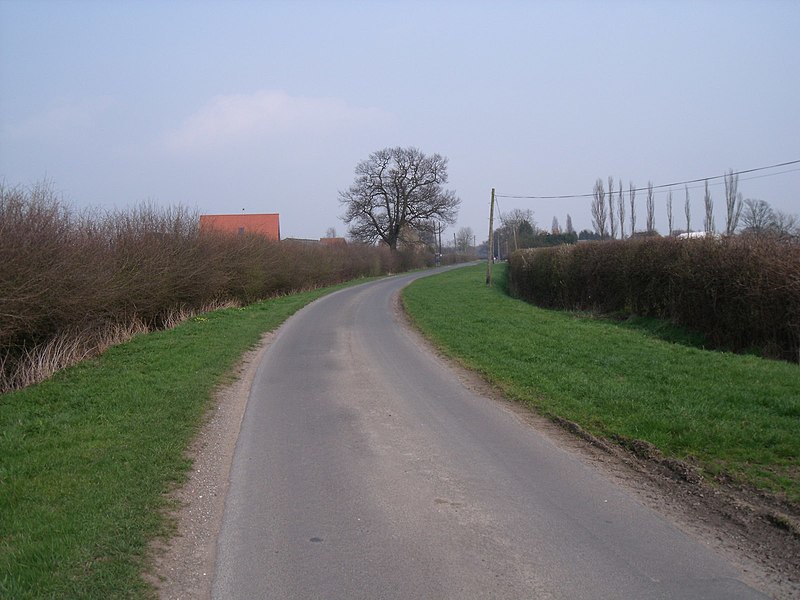 File:Brind Lane, Brind (geograph 2324962).jpg