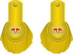 1810 to 1855 lieutenant colonel's shoulder rank insignia