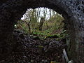 Looking out from one of the limekiln's two lower chambers
