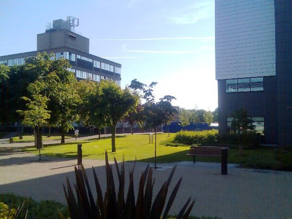 A view of the Brunel University campus in Uxbridge