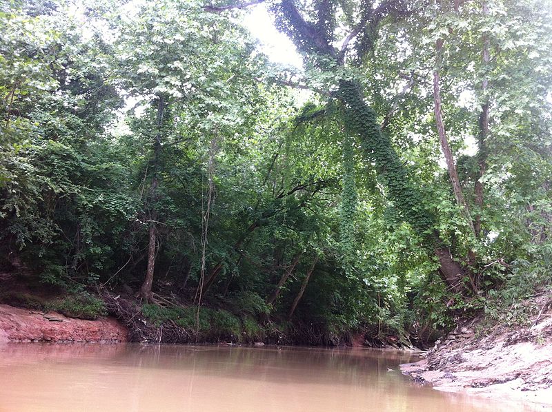 File:Buffalo Bayou as it passes by Houston's Memorial Park, May 2014.jpg