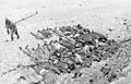 Bundesarchiv Bild 101I-291-1230-05, Dieppe, Landungsversuch, tote alliierte Soldaten.jpg