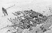 Canadian and British dead at Dieppe, August 1942 Bundesarchiv Bild 101I-291-1230-05, Dieppe, Landungsversuch, tote alliierte Soldaten.jpg