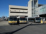 Buses at Southampton Street Garage, March 2022.JPG