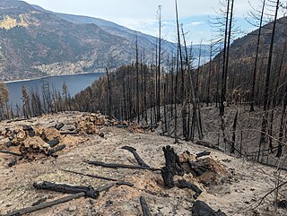 <span class="mw-page-title-main">Bush Creek East fire</span>