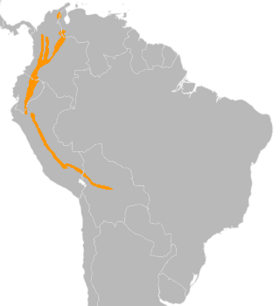 Distribución geográfica de la tangara montana