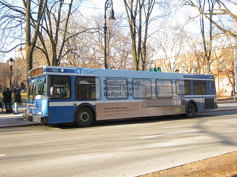 File:CT Transit 466.jpg