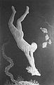 Cecil Howard - Slate Bas-relief 1-1939.jpg
