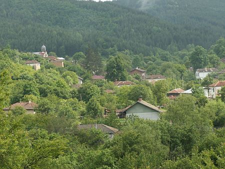 Pernik (tỉnh)