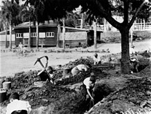 Children digging air raid trenches as protection against Japanese air raids, 1942 Children digging air raid trenches at Ascot State School, Brisbane, 1942.jpg