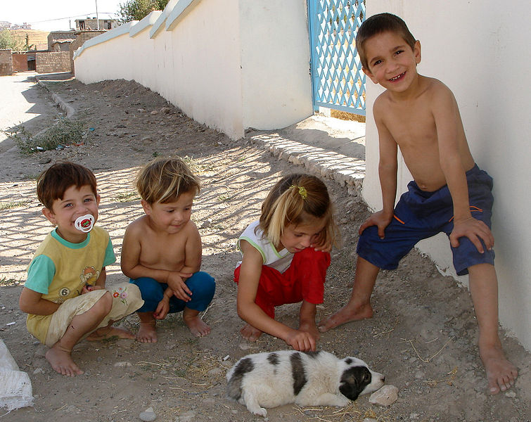 File:Children puppy sulaimania.jpg