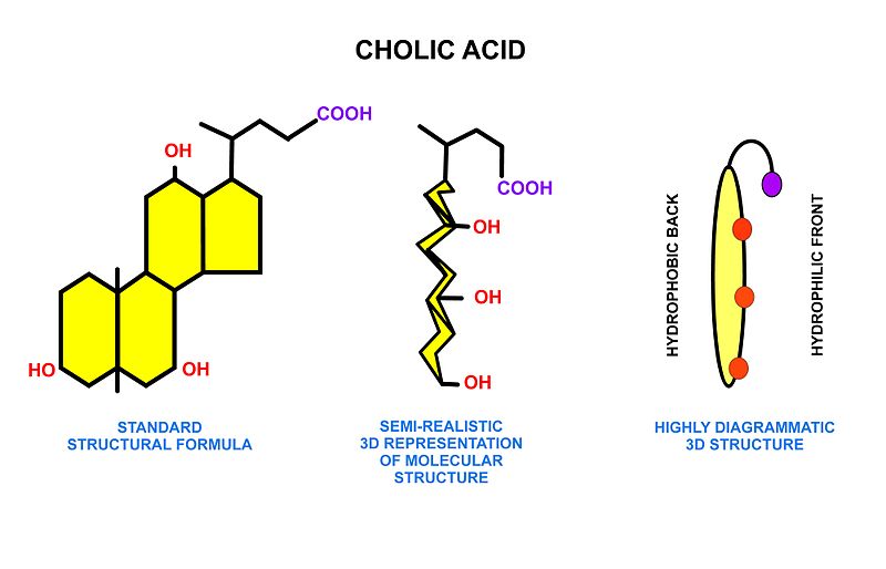 File:Cholic acid.jpg