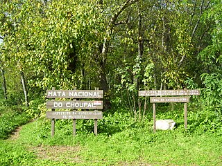 <span class="mw-page-title-main">Choupal National Forest</span> National Forest in Portugal