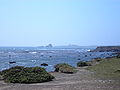 Coastal scene with Piedras Blancas Light Station in the background.