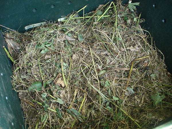 Materials in a compost pile