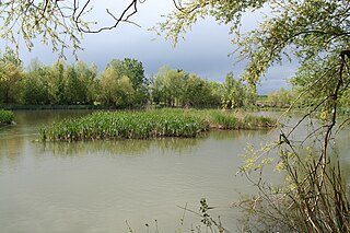 Vilanova de la Barca Municipality in Catalonia, Spain