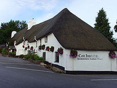 Cott inn.jpg 