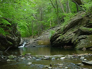 Cresheim Creek before it meets Wissahickon Creek.