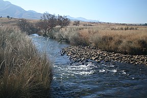 Krokodilrivier stroom-op van die Kwenadam