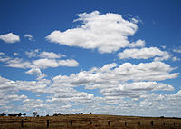 Cumulus humilis clouds.jpg