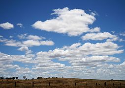 Cumulus humilis