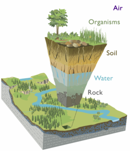 Earth's Critical Zone. Illustration by Critical Zone Observatories (CZO) based on a figure in Chorover et al. 2007. Czone chorover et al catalina jemez czo.png