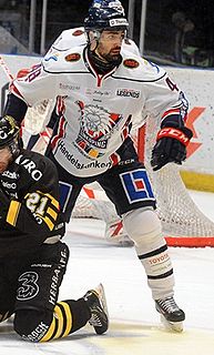 <span class="mw-page-title-main">Daniel Rahimi</span> Iranian-Swedish ice hockey player