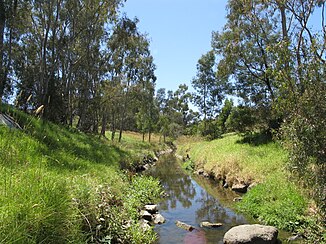 Darebin Creek in Heidelberg West