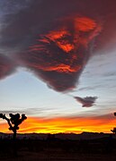 High Desert Lava at Twilight