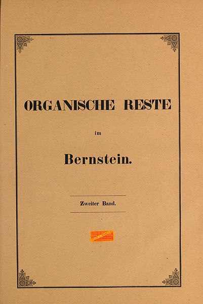 File:Die im Bernstein befindlichen organischen Reste der Vorwelt BHL42426164.jpg