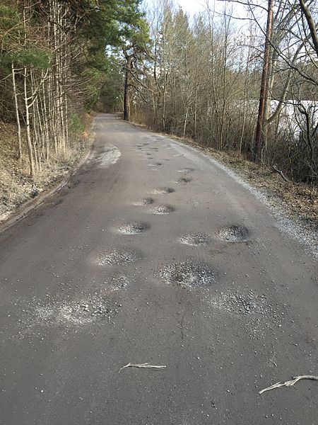 File:Dirtroadpotholes.JPG