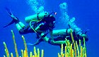 DivingCuba3.jpg