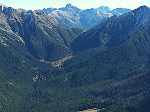 Blick auf die zugewachsene Alm